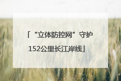 “立体防控网”守护152公里长江岸线